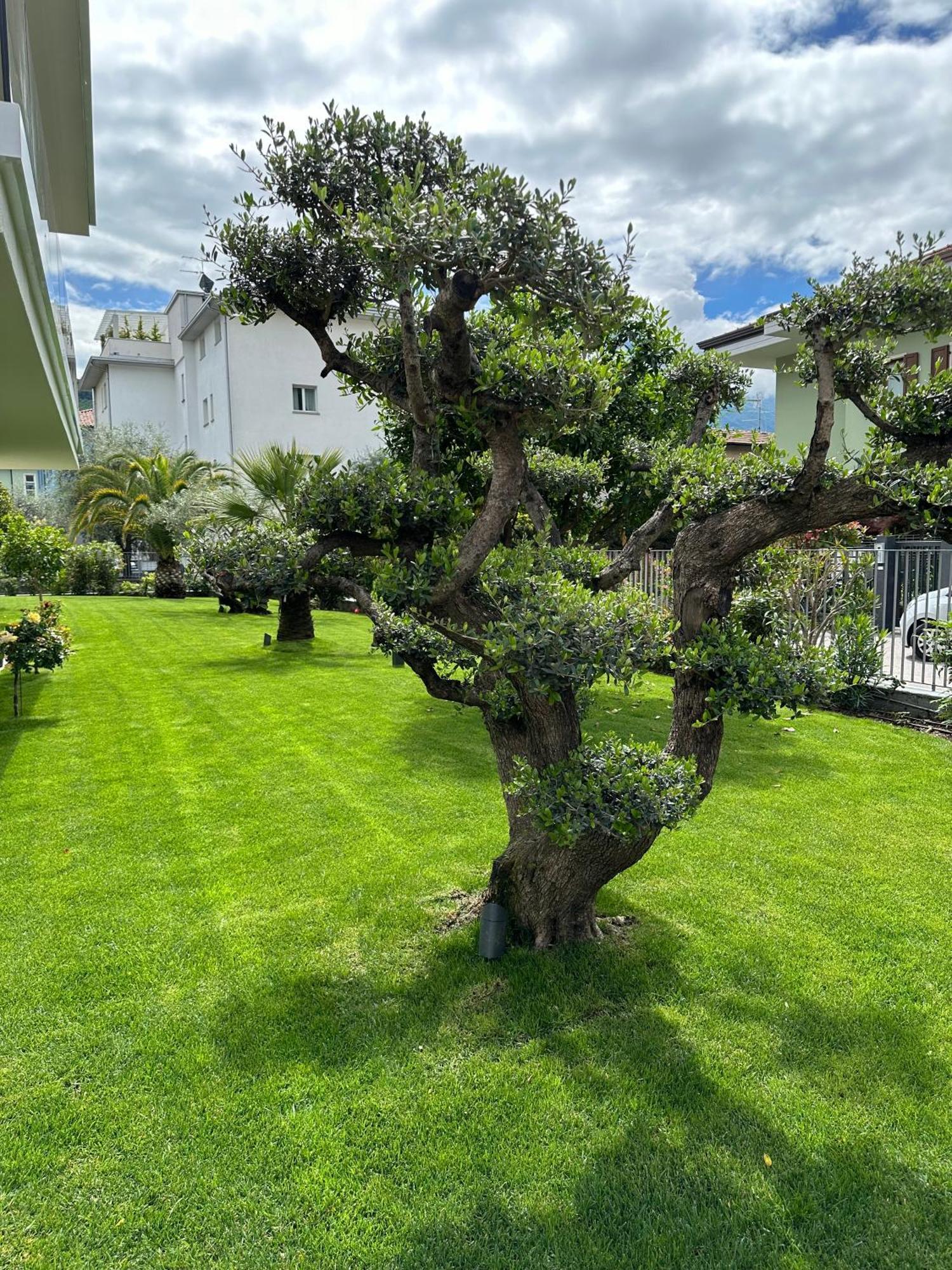 Villa Dalila Riva del Garda Esterno foto